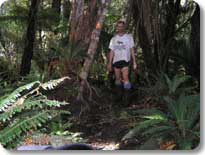 Bigfoot